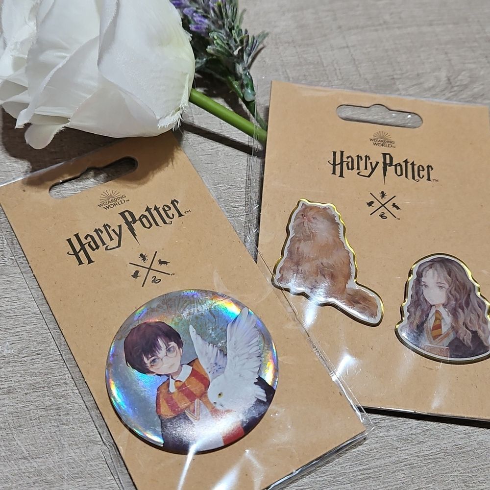 Harry Potter 🎁 Collection  Hermione Granger & Harry Potter Pin Set